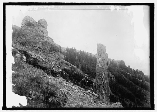 Yellowstone Park, Fossil Forests