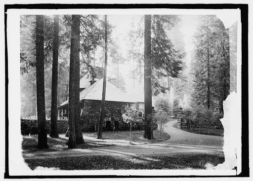 Summer Home, Shasta Nat. Forest, Calif.