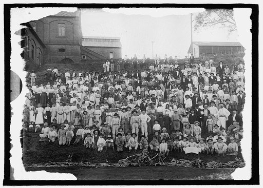 Employees in a coffee estate in Brazil