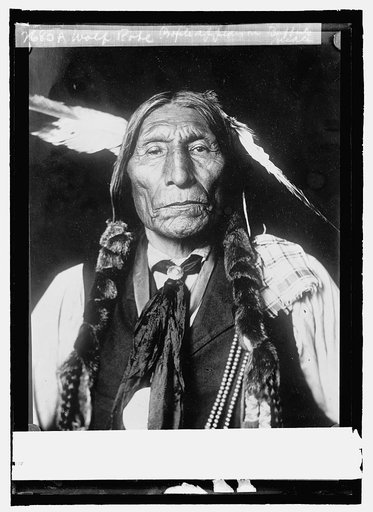 Wolf Robe profile appears on Buffalo nickle