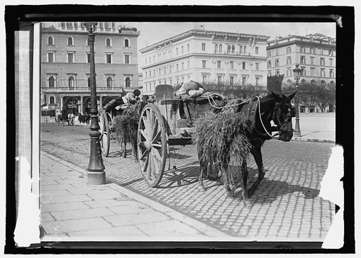 Italy, Rome. Drivers sleeping in their carts