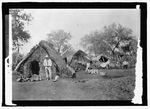 Mexico. Straw cottages, Salmanca