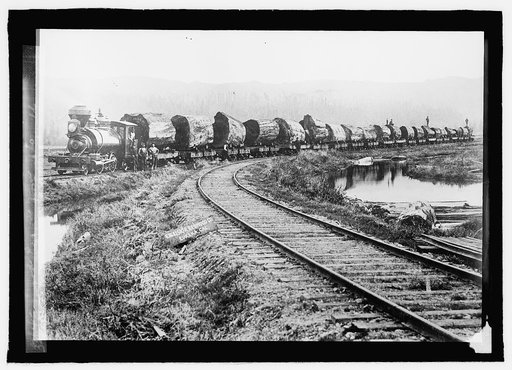 Redwood logs on way from forest to mill