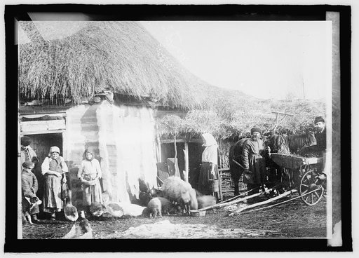 Russian village