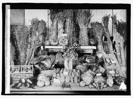 Alaskan produce