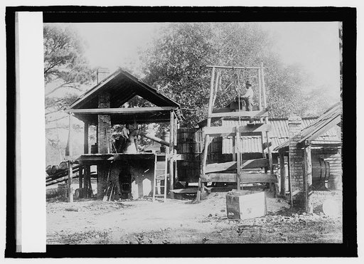 Turpentine farm, Clinton, N.C.