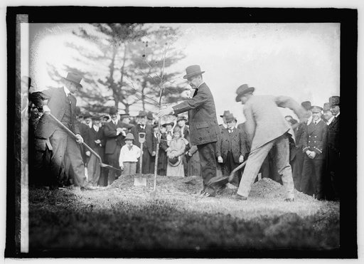 Secty. Houston tree planting, Agrl. Grounds