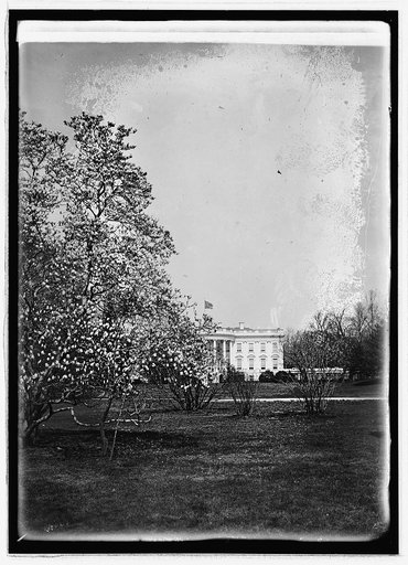 White House