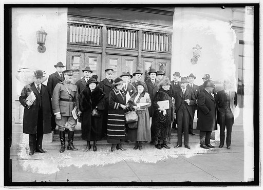 Advisory Committee to Am. Delegation