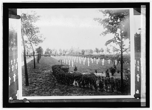 Flanders field