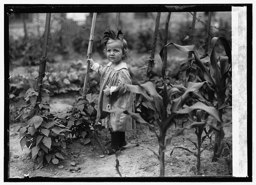 Food Adm., Girl Scout garden, 1 & T St. N.E., [Washington, D.C.