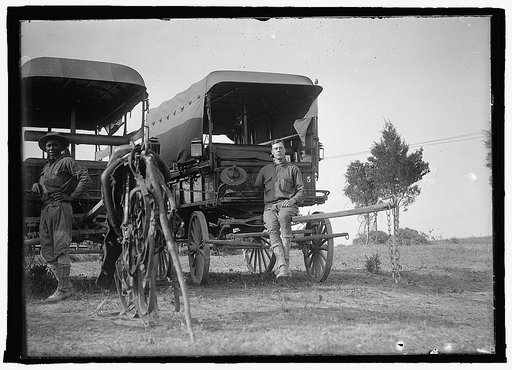 U.S. Army wagons