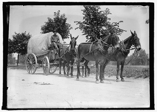 U.S. Army mule team & wagon