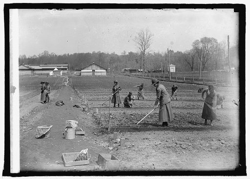 Nat. Women's Defense League Camp. War Gardens