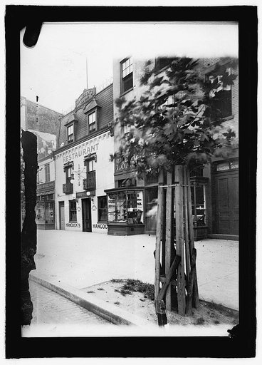 Street view, [Washington, D.C.