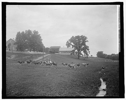 H.C. Rogers, Hamilton, Va.