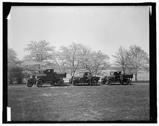 Trucks near Cherry blossom trees, Washington, D.C.