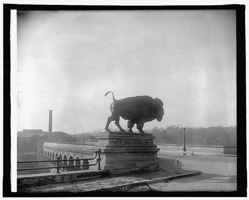 Q St. Bridge, buffalo, [Washington, D.C.