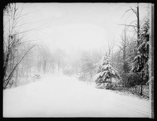 Rock Creek Park, snow view, [Washington, D.C.