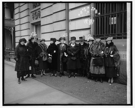 Women's Committee, Inaugural Committee