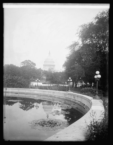 Cap. from Botanical Garden, [Washington, D.C.