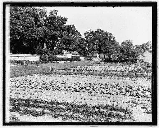 Mt. Vernon, [Virginia], garden