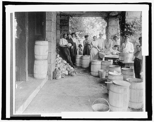 Food Adm.: making sauerkraut