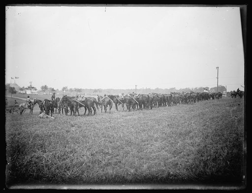 U.S. Cavalry