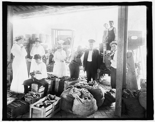 Market, Wash. D.C., World War I period