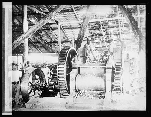 Calomba Sugar Mill, Luzon, Philippines. 1200 tons cane, daily