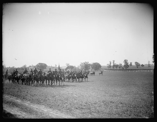 Cavalry