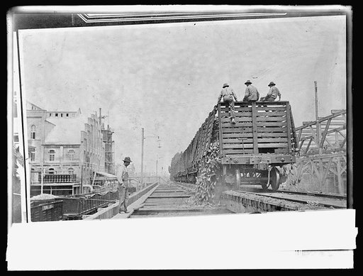 Food Adm. sugar, unloading beets from cars, Oxnard, [California], factory