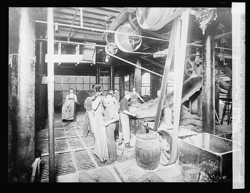 Where sacks are opened and the sugar starts on its journey of refinement