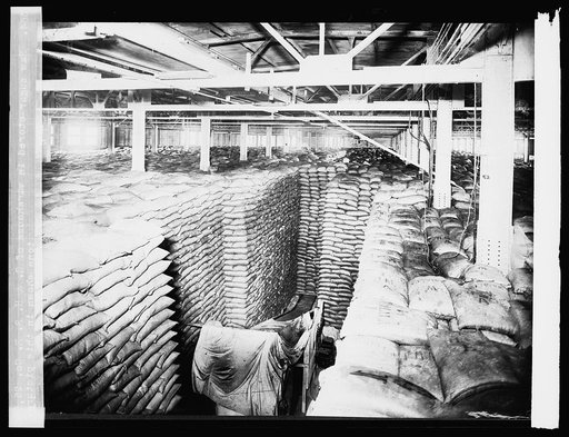 Raw sugar stored in warehouse of C. & H.S.R. Co. 25000 tons shown in this picture