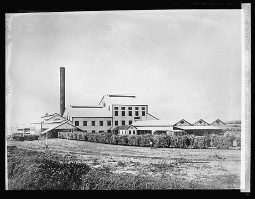 Experimental Station, Hawaiian Sugar Planters Assn.
