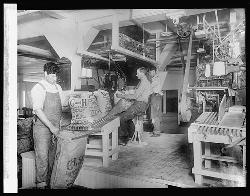 Filling, weighing and sewing 25 lb sacks of sugar