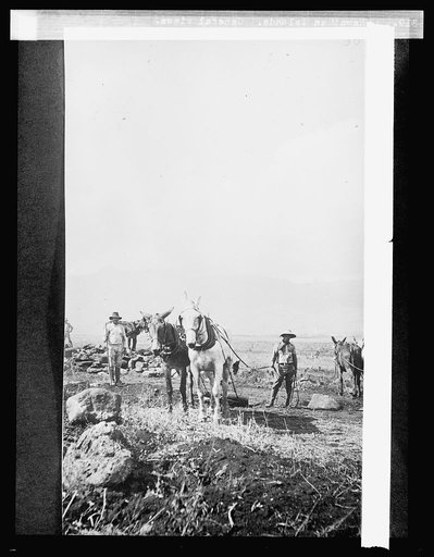 Hawaiian Islands. General views
