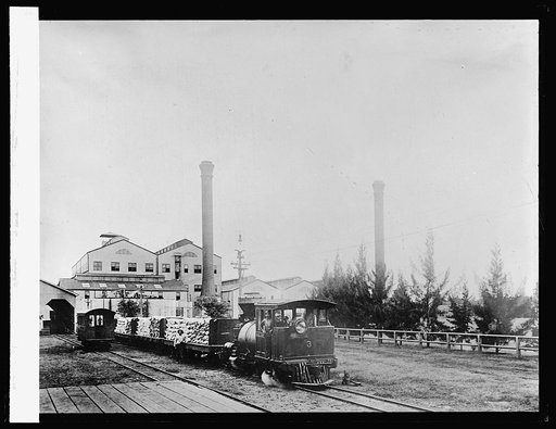 Food Ad.: Trainload of sugar leaving mill. Hawaiian Islands