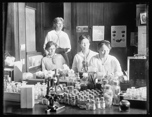 Women scientists: standing: Miss Nellie A. Brown; L to R: Miss Lucia McCollock, Miss Mary K. Bryan, Miss Florence Hedges, The women scientists make cultures of the parasites make [...]ulation experiments and all sorts of technical laboratory work