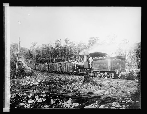 Trainload of sugar cane, Cuba