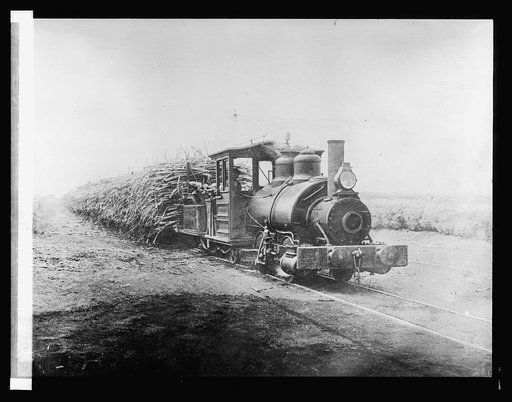 136. Trainload of Cane en route to the factory. Peru