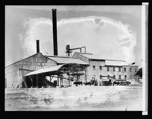 129 Morelands sugar mill, Vere, Jamaica