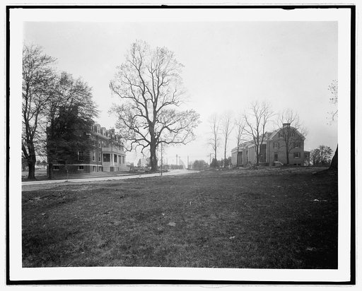 Walter Reed Genl. Hospital, [Washington, D.C.], Signal Oak