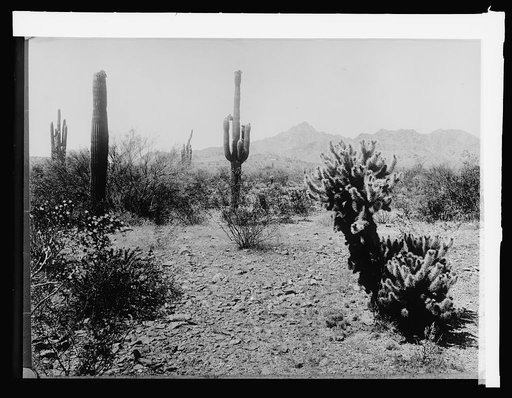 Salt River Project, Phoenix, Ariz.