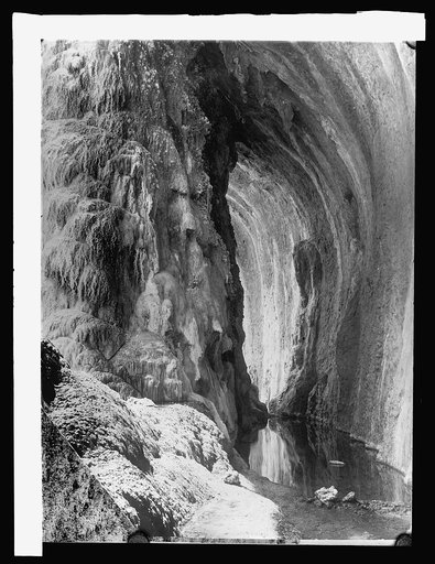 Salt Cove, Salt River Project, [Arizona