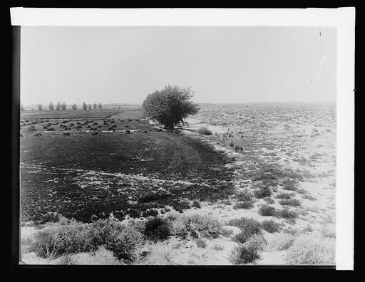 Nevada on left, Zycar[?] old homestead; on right unproclaimed desert