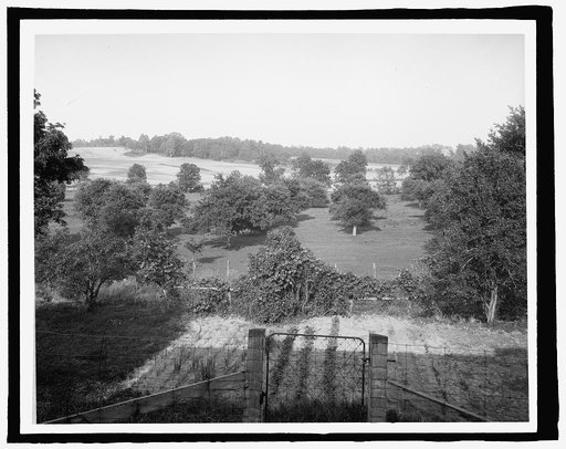 Berry's house & orchard