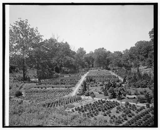 Old dueling ground, Bladensburg, Md.