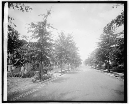 Cathedral Ave., [Washington, D.C.
