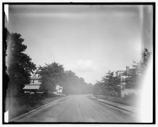 Road view